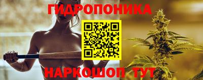 прущие крисы Лесосибирск
