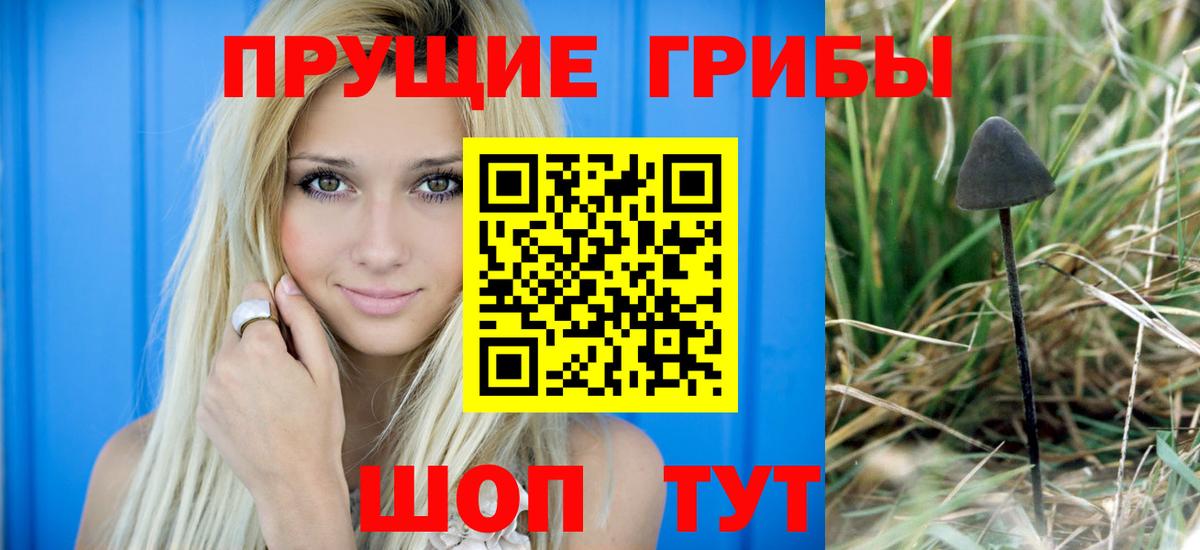 Ипатово  Галлюциногенные грибы ЛСД  Вход с VPN 